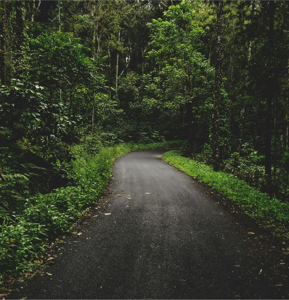 The Ultimate Guide to Finding the Best Coffee Beans